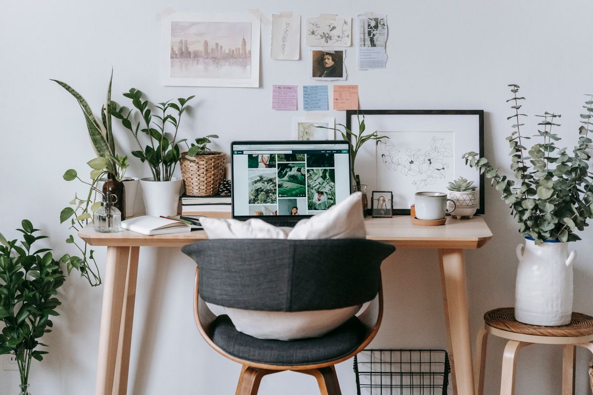 Cozy home workspace with laptop and plants